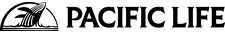 Company's Logo